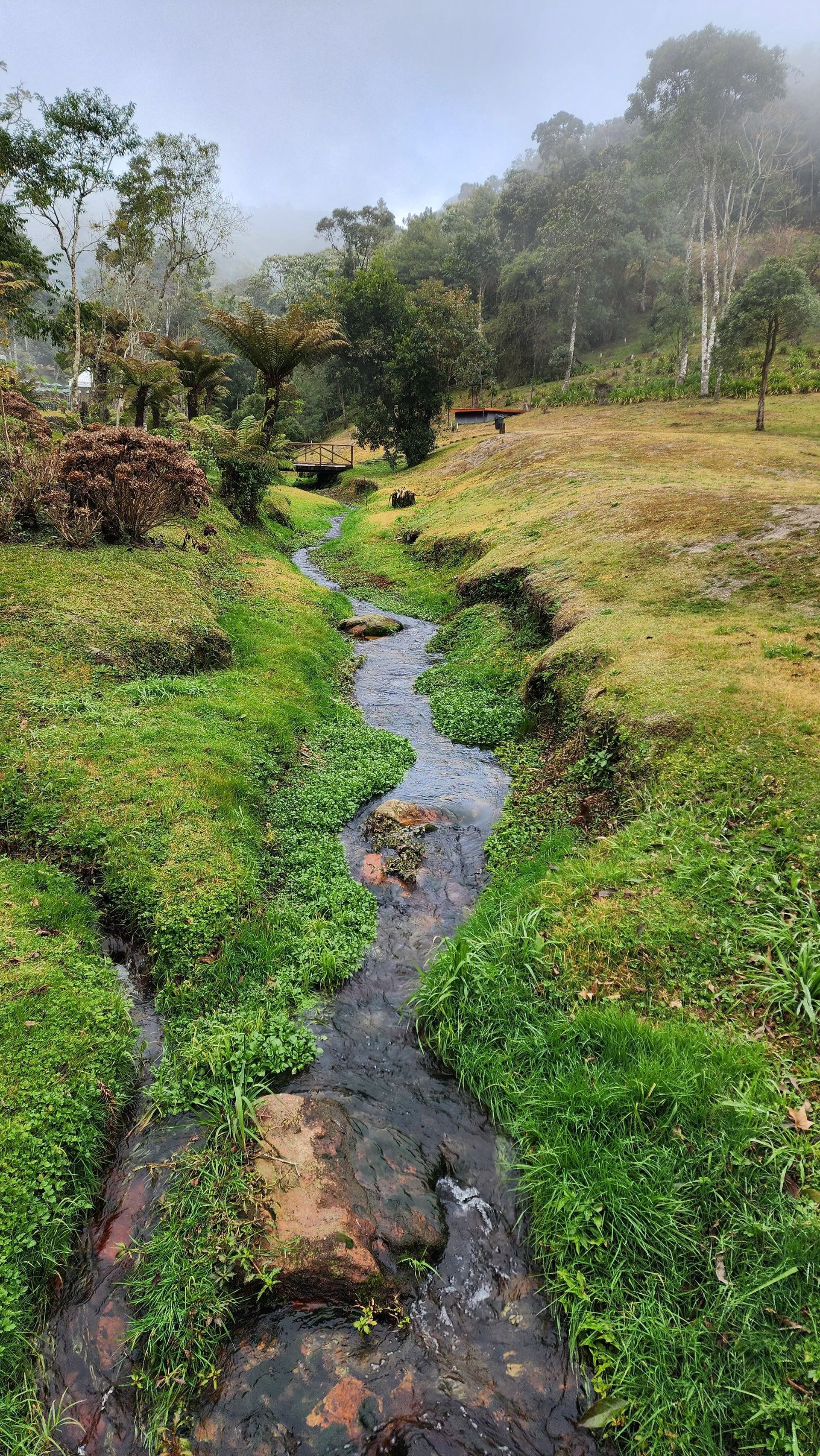 Termales de Santa Rosa de Cabal